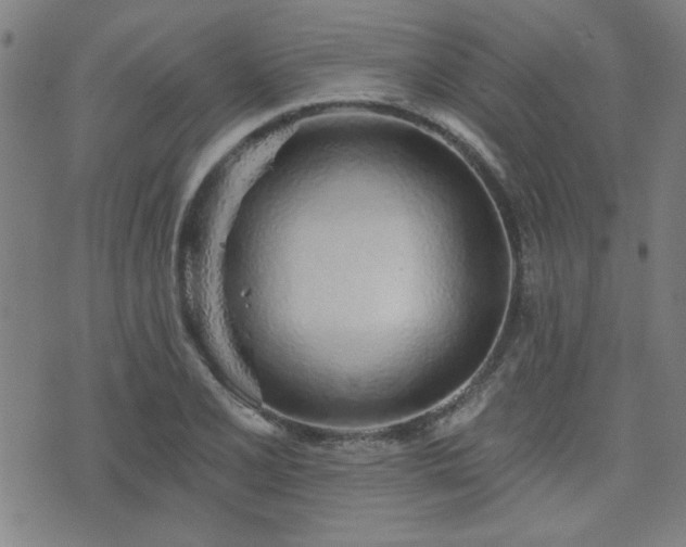 X0000072941077200607211056