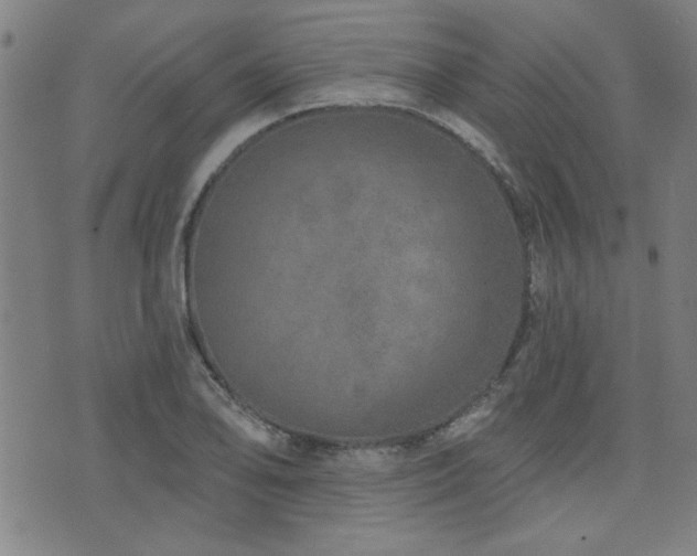 X0000072941078200607211056