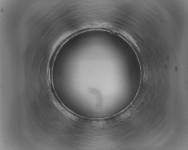 X0000072941080200607211056