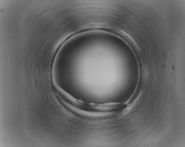 X0000072941081200607211056