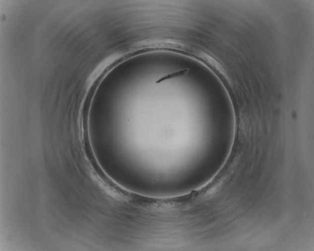 X0000072941082200607211056