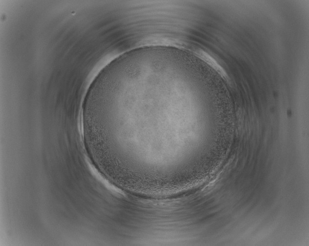 X0000072941084200607211056