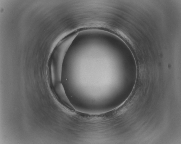 X0000072941085200607211055