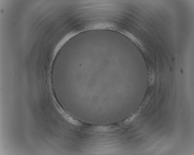 X0000072941086200607211055