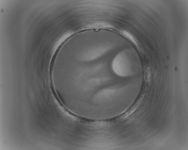 X0000072941087200607211055