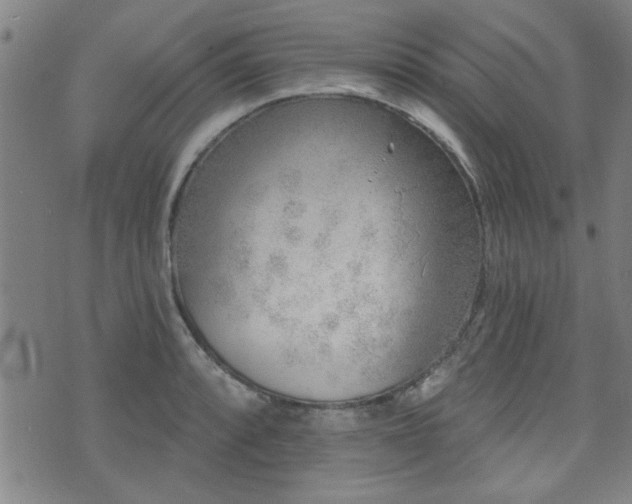 X0000072941088200607211055