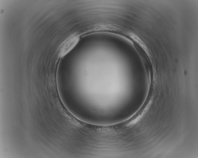 X0000072941089200607211055