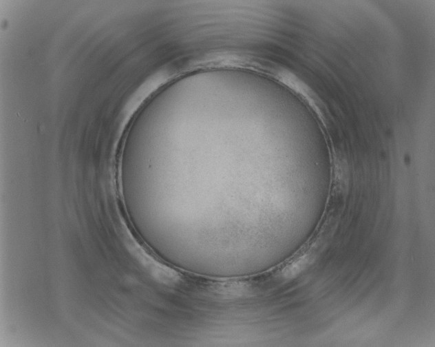 X0000072941090200607211055