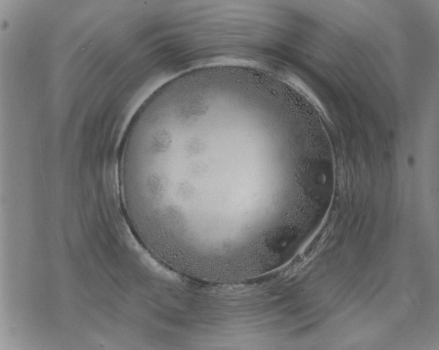 X0000072941092200607211055