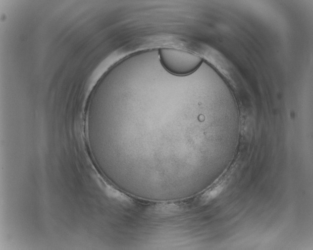 X0000072941094200607211055