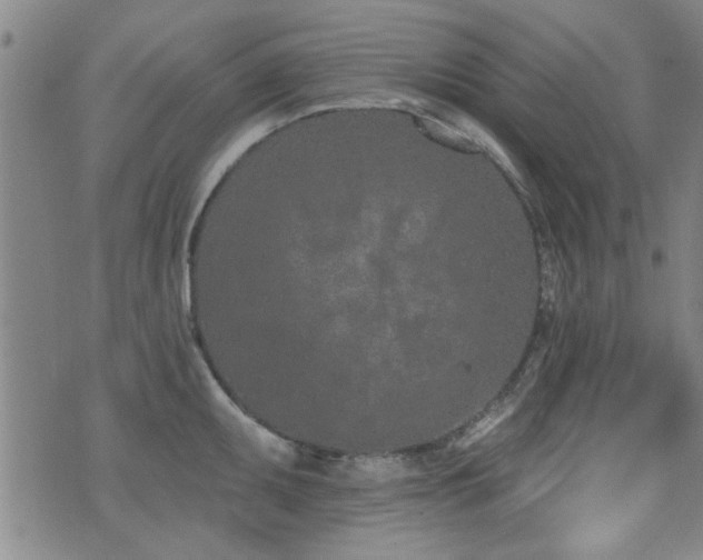 X0000072941095200607211055