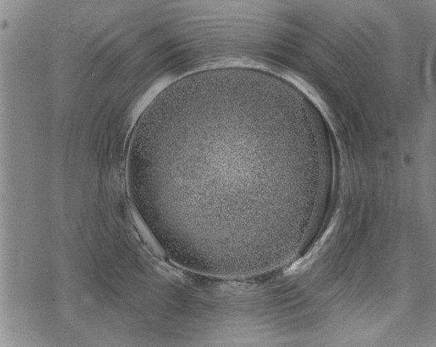 X0000072941097200607211055