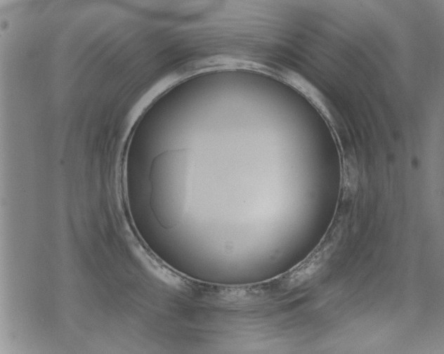 X0000072941098200607211055