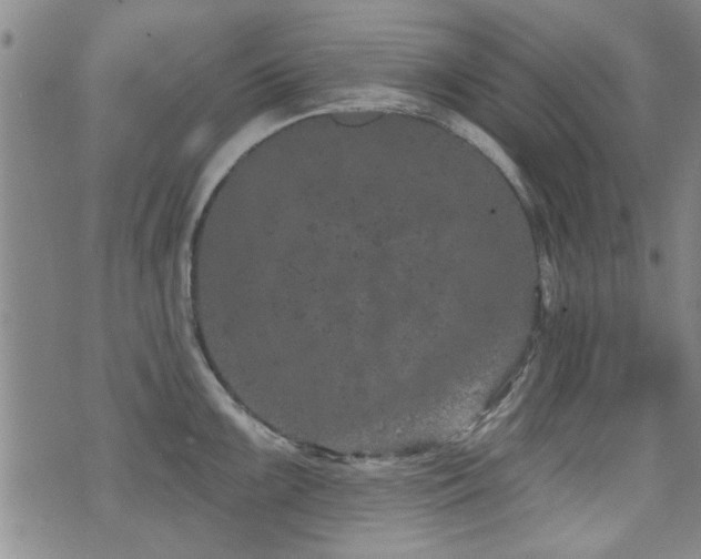 X0000072941099200607211055