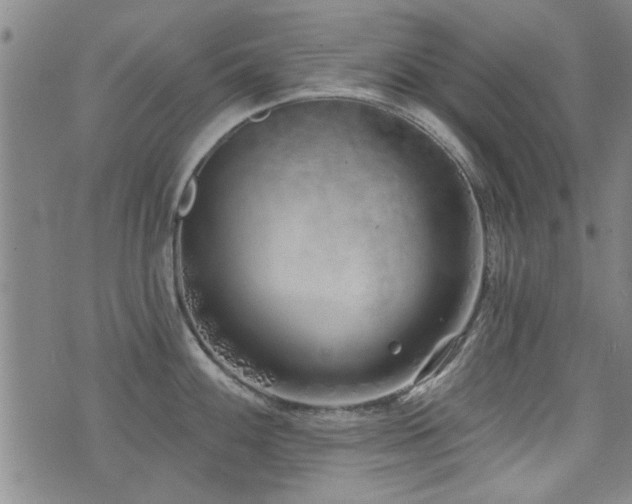 X0000072941100200607211055