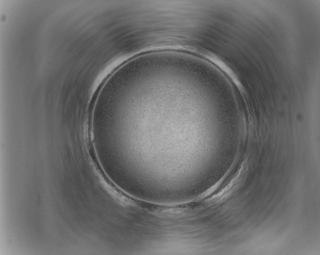 X0000072941101200607211055