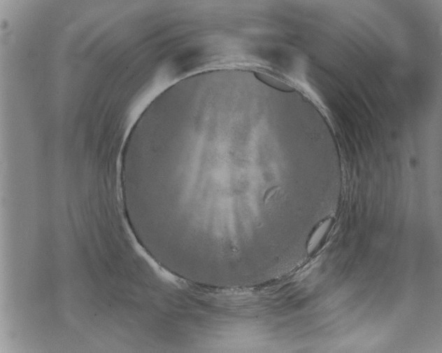 X0000072941103200607211055