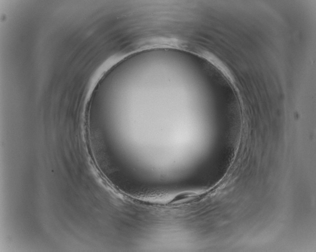 X0000072941104200607211055