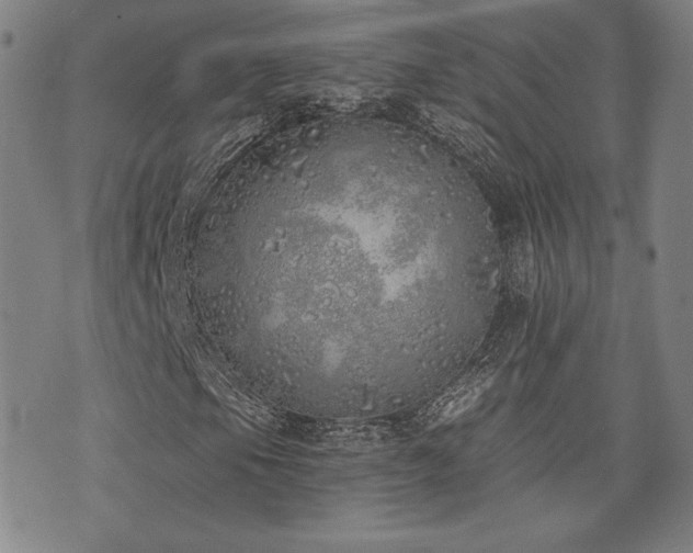 X0000072941105200607211054