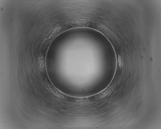 X0000072941107200607211054