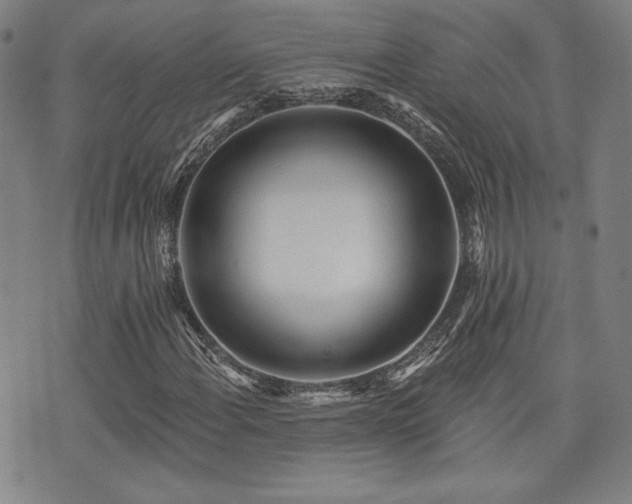 X0000072941108200607211054