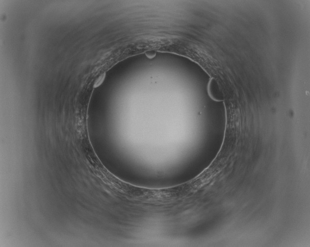 X0000072941109200607211054