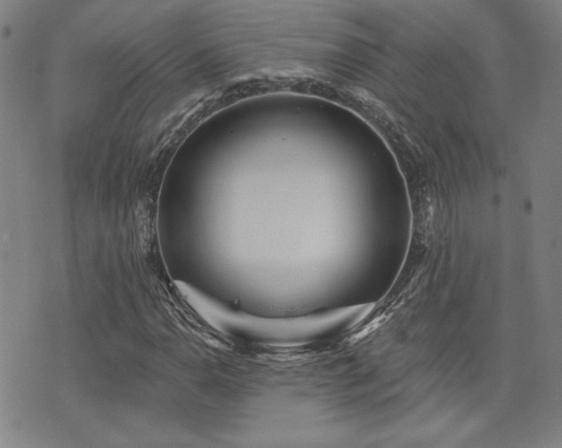 X0000072941110200607211054