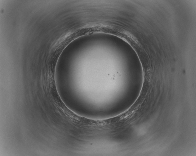 X0000072941111200607211054