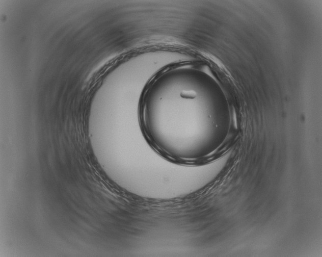 X0000072941112200607211055