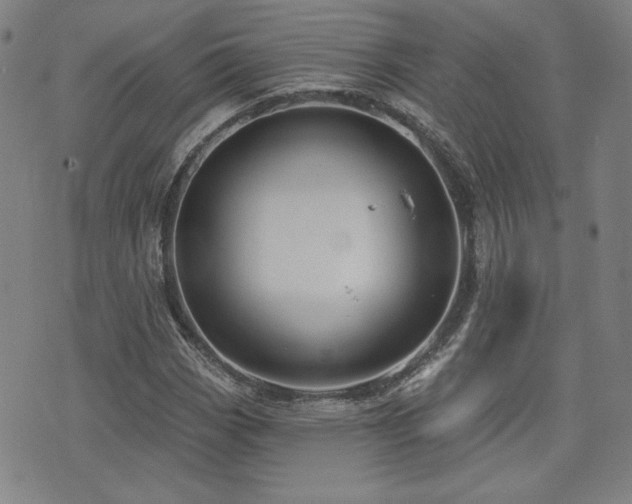 X0000072941113200607211055