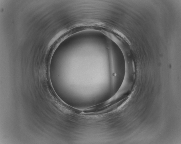 X0000072941114200607211055