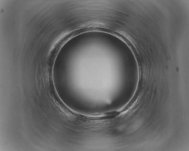 X0000072941115200607211055