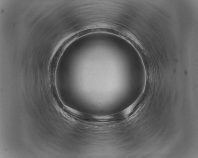 X0000072941116200607211055