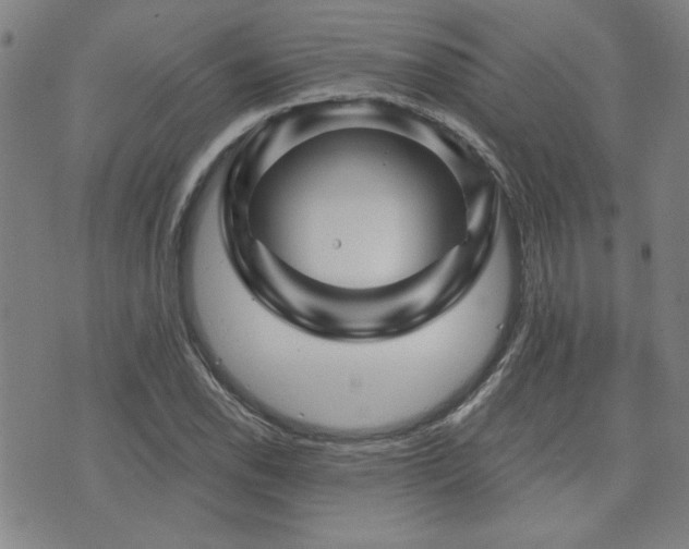 X0000072941118200607211055