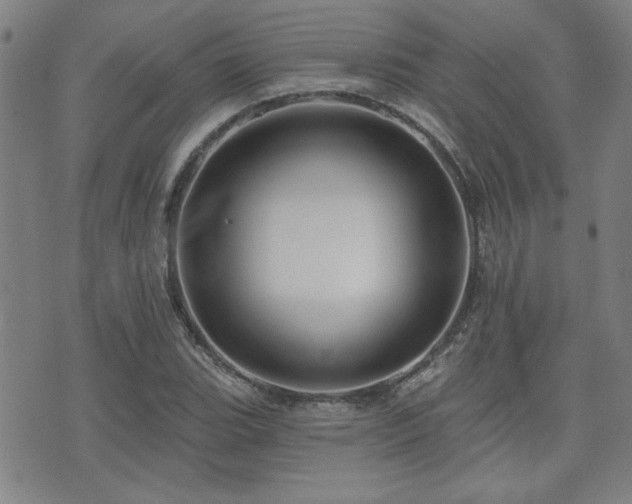 X0000072941119200607211055