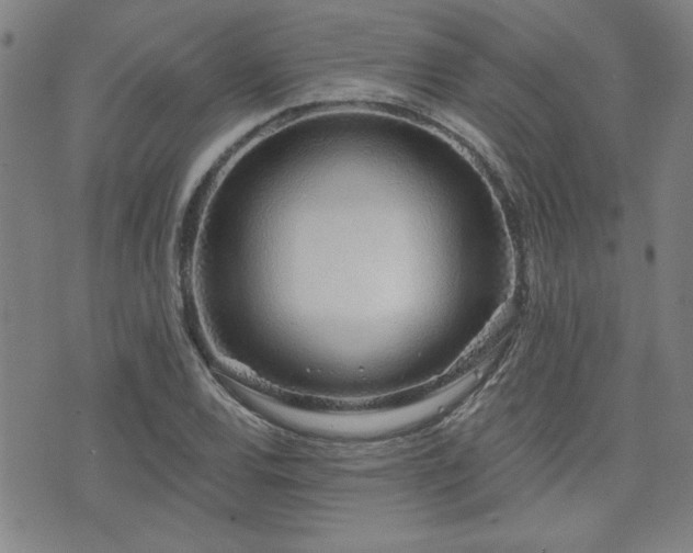 X0000072941120200607211055