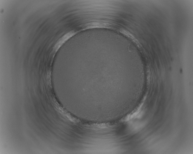 X0000072941121200607211055