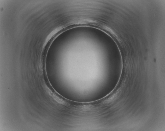 X0000072941122200607211055