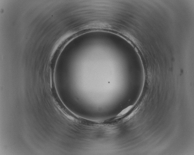 X0000072941123200607211055