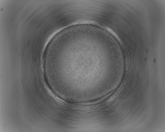 X0000072941124200607211055