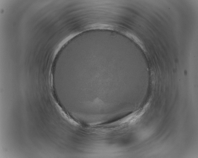 X0000072941125200607211055