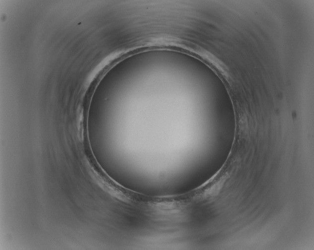 X0000072941126200607211055