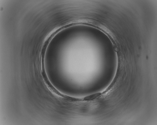 X0000072941127200607211055