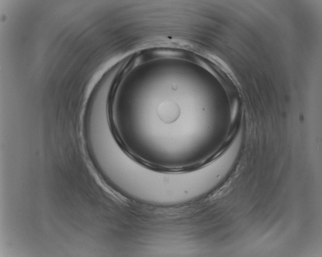 X0000072941128200607211055