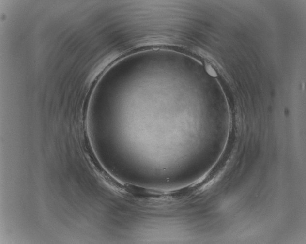 X0000072941129200607211055