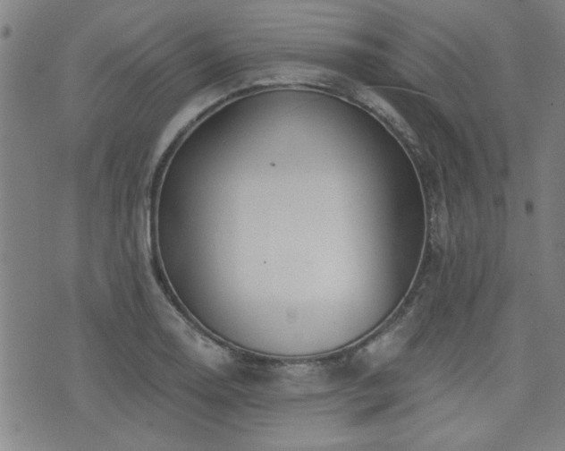 X0000072941130200607211055