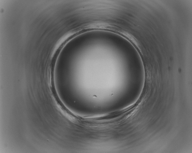 X0000072941131200607211055