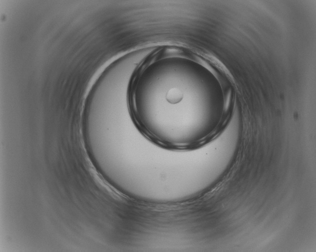 X0000072941132200607211055