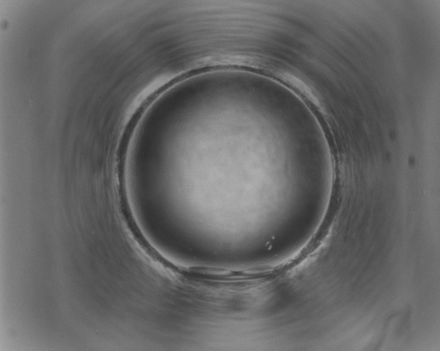 X0000072941133200607211055