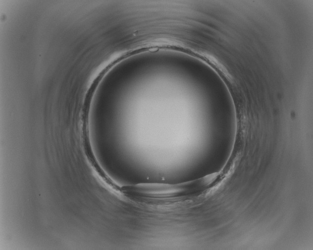 X0000072941134200607211055